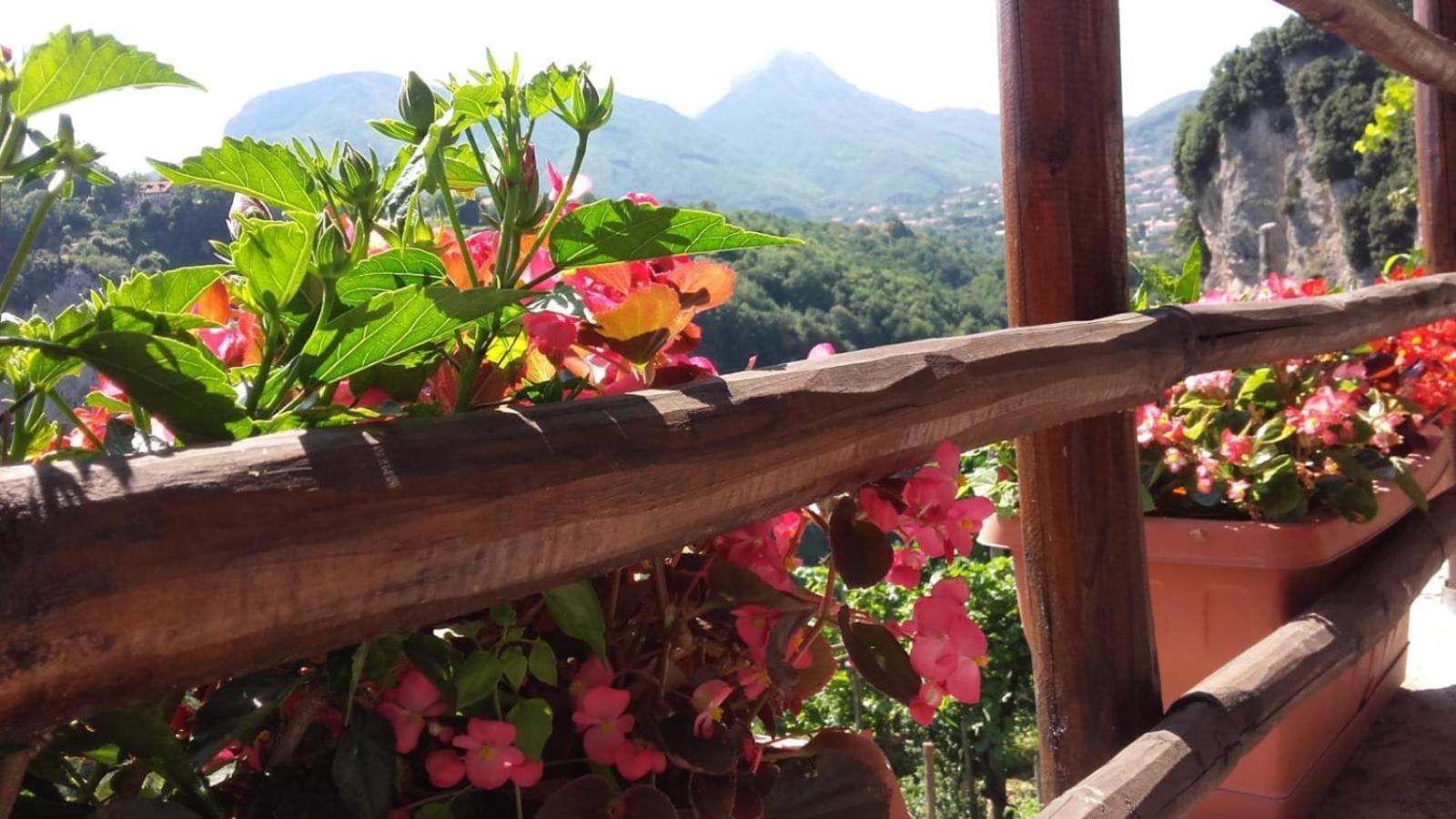 Agriturismo Orrido Di Pino Аджерола Экстерьер фото