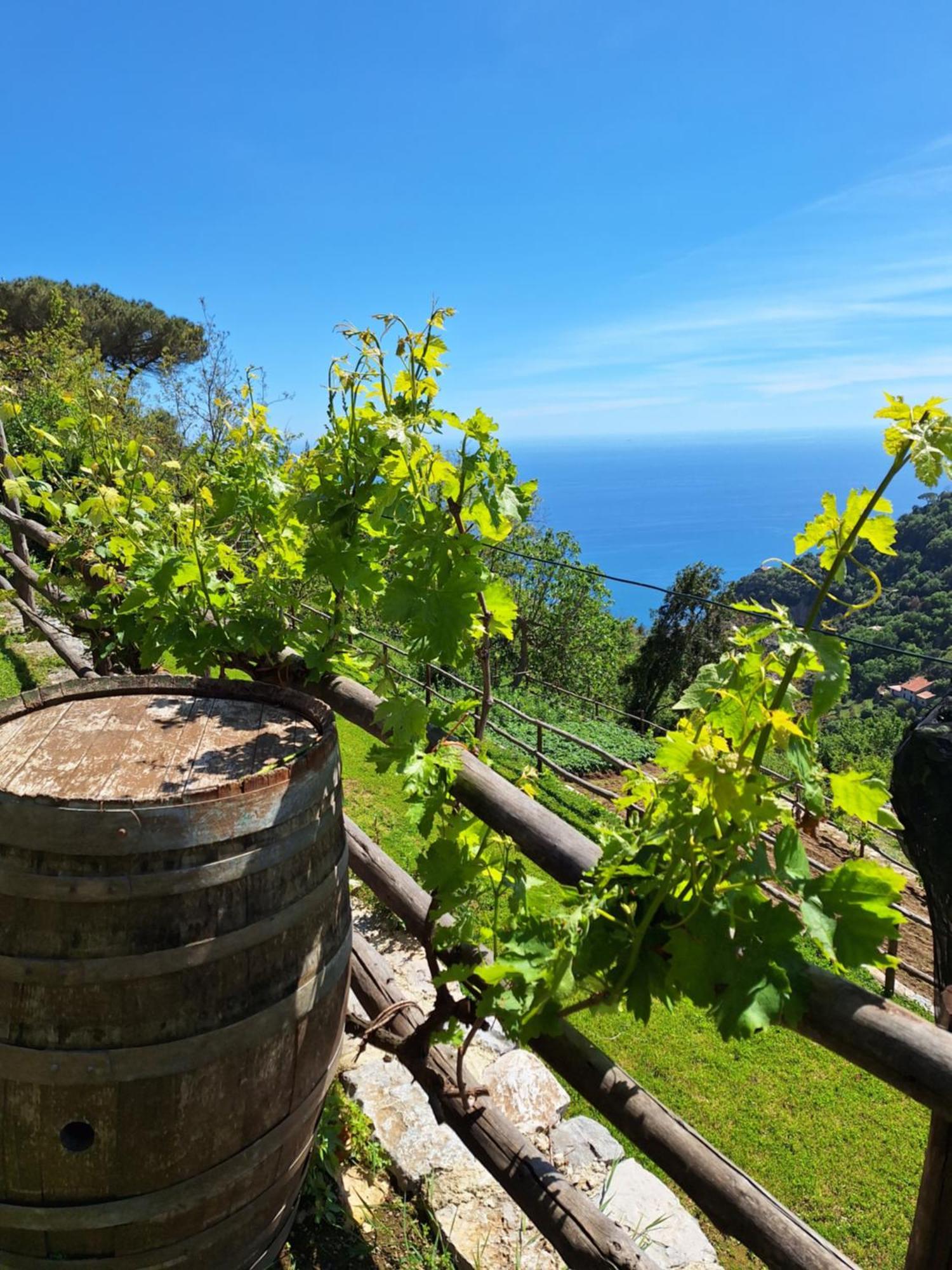 Agriturismo Orrido Di Pino Аджерола Экстерьер фото