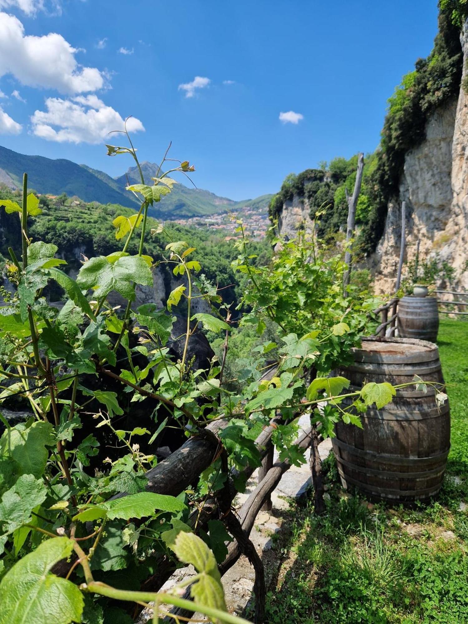 Agriturismo Orrido Di Pino Аджерола Экстерьер фото